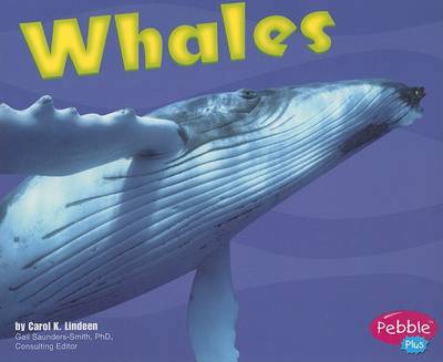 Cover of Whales