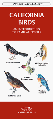 Book cover for California Birds