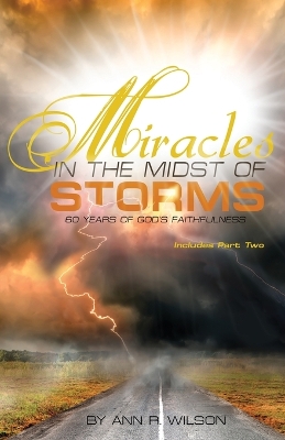 Book cover for Miracles in the Midst of Storms