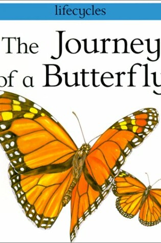 Cover of Journey of a Butterfly