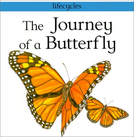 Cover of Journey of a Butterfly