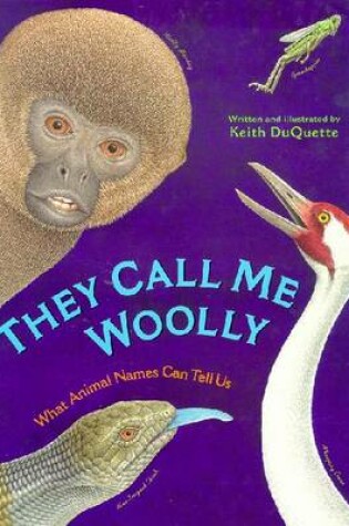Cover of They Call ME Woolly