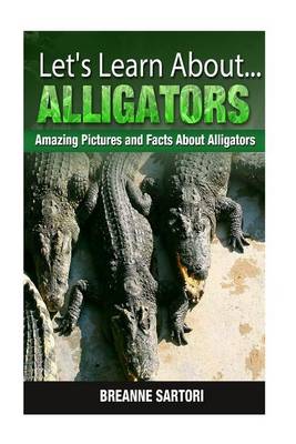 Book cover for Alligators