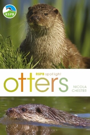 Cover of RSPB Spotlight: Otters