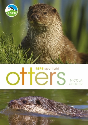 Book cover for RSPB Spotlight: Otters