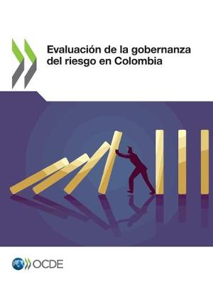 Book cover for Evaluacion de la Gobernanza del Riesgo En Colombia