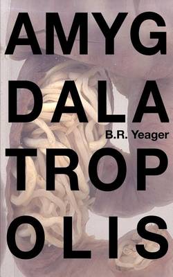 Book cover for Amygdalatropolis