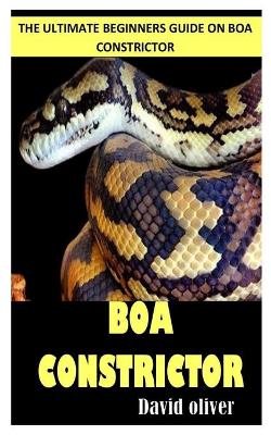 Book cover for Boa Constrictors