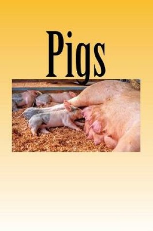 Cover of Pigs