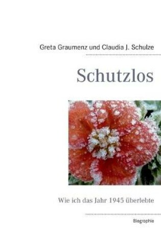 Cover of Schutzlos