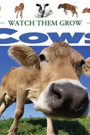 Cover of Cows