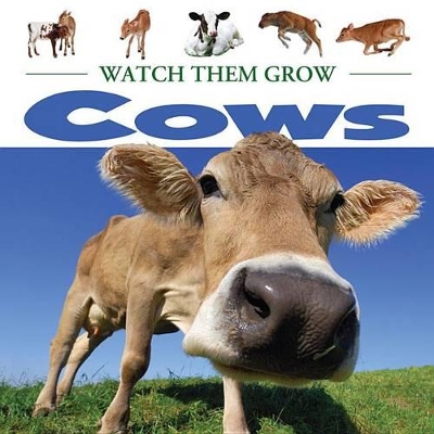 Cover of Cows