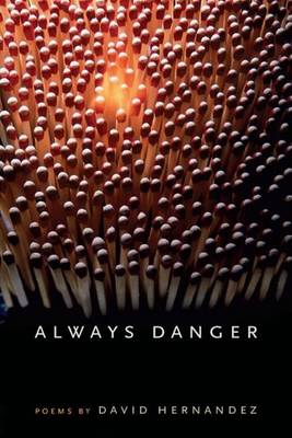 Cover of Always Danger