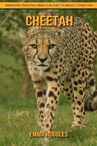 Cover of Cheetah