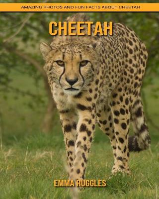 Book cover for Cheetah