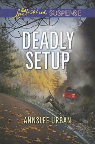 Cover of Deadly Setup