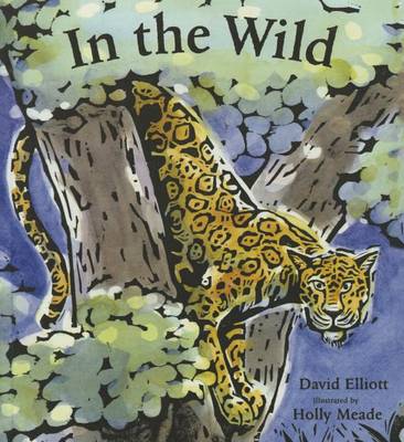 Book cover for In the Wild