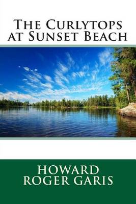 Book cover for The Curlytops at Sunset Beach
