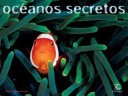 Book cover for Oceanos Secretos
