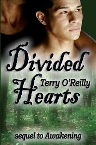 Cover of Divided Hearts