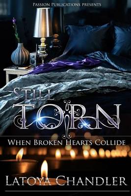 Book cover for Stil Torn