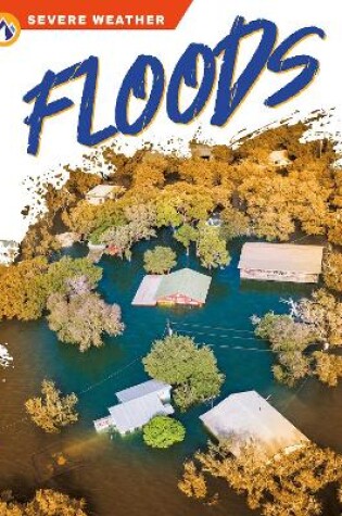 Cover of Severe Weather: Floods