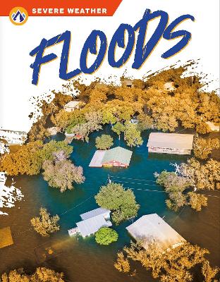 Book cover for Severe Weather: Floods