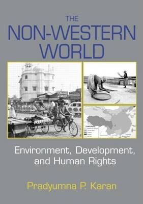 Book cover for The Non-Western World: Environment, Development and Human Rights