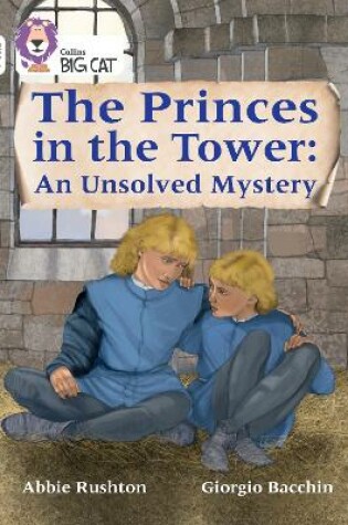 Cover of The Princes in the Tower: An Unsolved Mystery