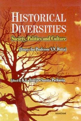 Book cover for Historical Diversities