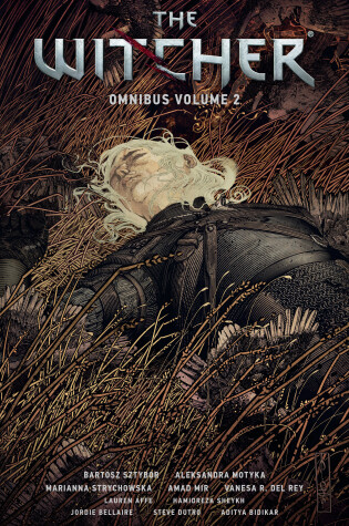 Cover of The Witcher Omnibus Volume 2