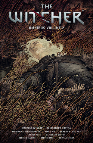 Book cover for The Witcher Omnibus Volume 2