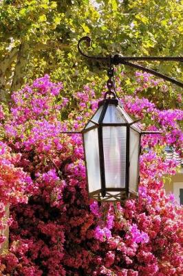 Book cover for Lamppost and Pink Flowers Spring in Europe Travel Journal