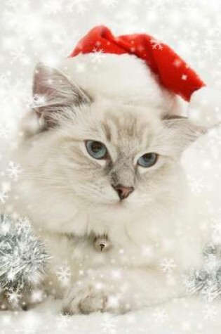 Cover of A Cute White Kitten with Blue Eyes Dressed Up for Christmas