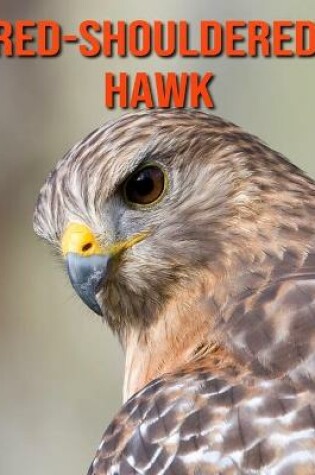 Cover of Red-Shouldered Hawk