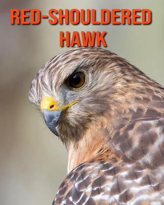 Book cover for Red-Shouldered Hawk