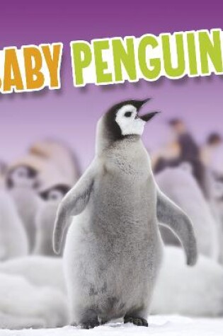 Cover of Baby Penguins