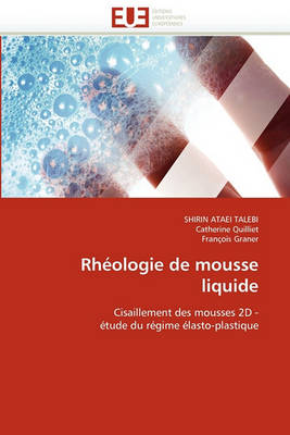 Cover of Rh ologie de Mousse Liquide