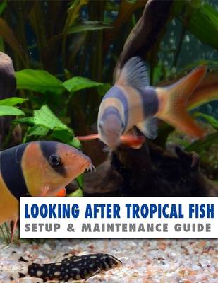 Book cover for Looking After Tropical Fish: Setup & Maintenance Guide