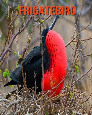 Book cover for Frigatebird