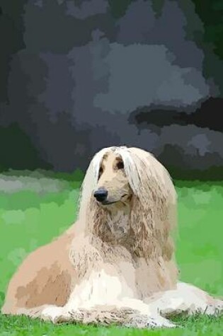 Cover of Afghan Hound