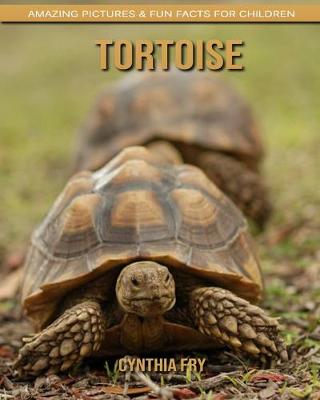 Book cover for Tortoise