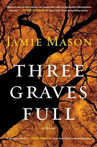 Cover of Three Graves Full