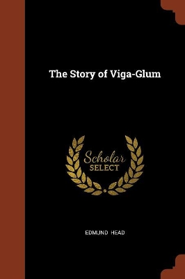 Book cover for The Story of Viga-Glum