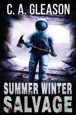 Book cover for Summer Winter Salvage
