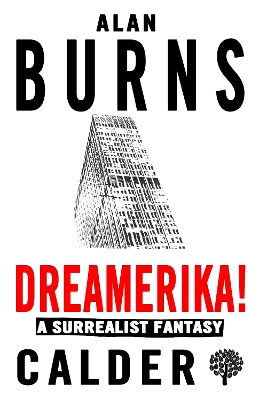 Book cover for Dreamerika!