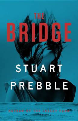 Book cover for The Bridge