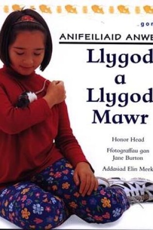 Cover of Cyfres Anifeiliaid Anwes: Llygod a Llygod Mawr