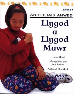 Book cover for Cyfres Anifeiliaid Anwes: Llygod a Llygod Mawr