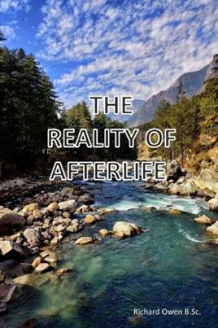 Cover of The Reality Of Afterlife